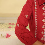 Brick Red Embroidered Ethnic Dress