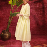Chandni Butter Embroidered Crinkled Viscose Georgette Designer Dress for Women
