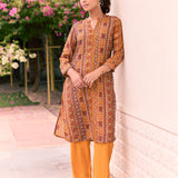 Maysa Mustard Embroidered Chiffon Co-ord Set for Women