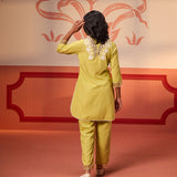 Back view of Shehwar Salmon Apple Green Embroidered Cotton Linen Co-Ord Set